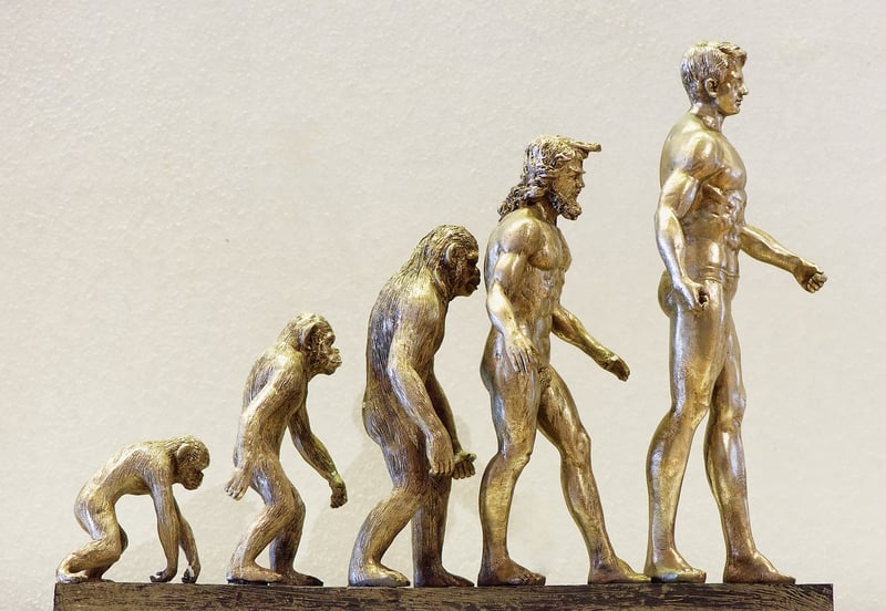 Machine Evolution